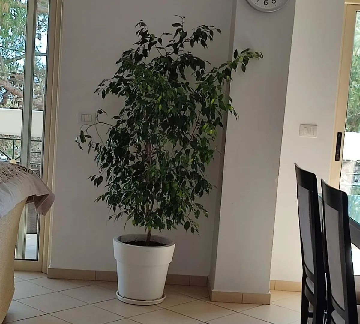Luli Apartment ساراندا ألبانيا